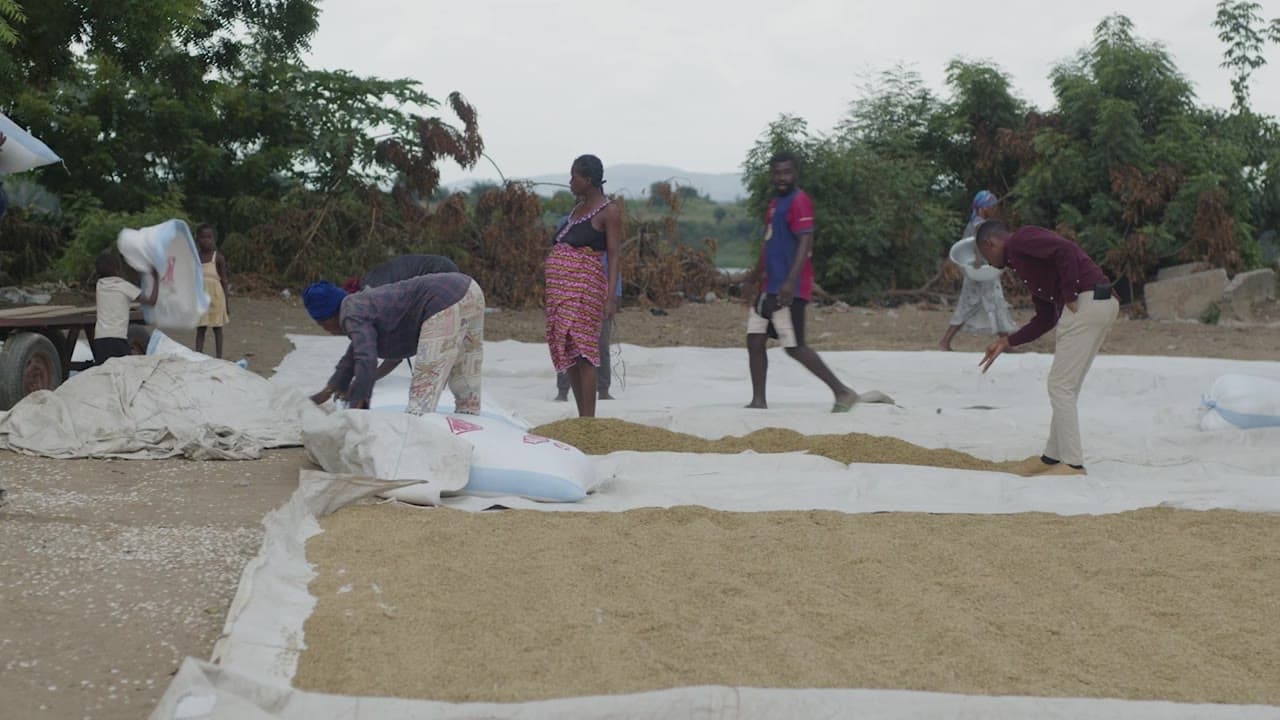 Still from the WamiAgro story video showing farmers drying grain on tarpaulins